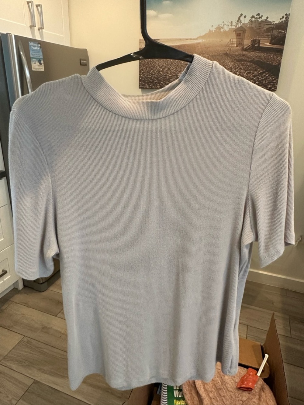 Light Gray Ribbed Short Sleeve Top